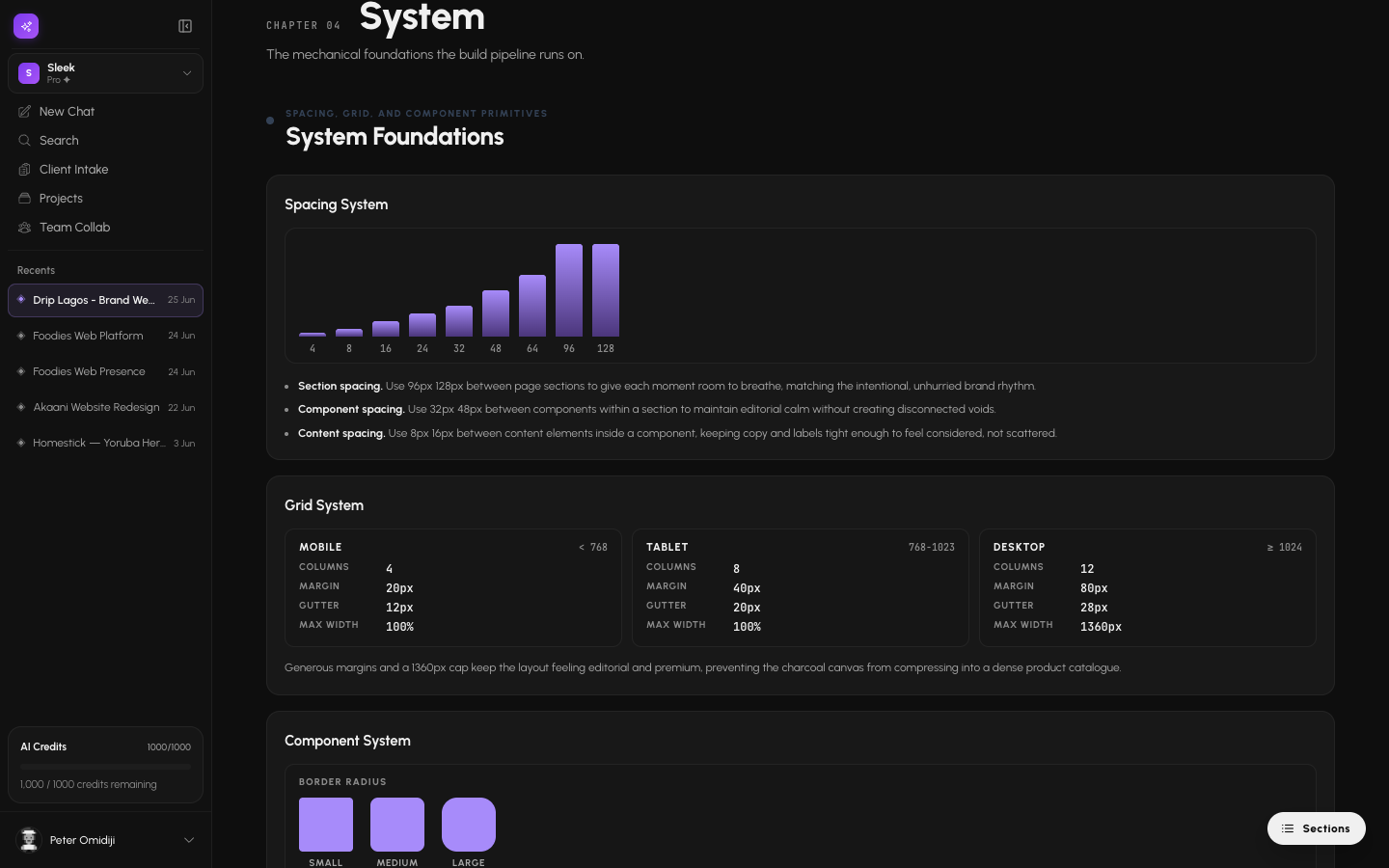 System chapter